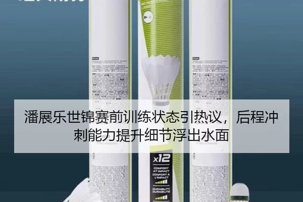 潘展乐世锦赛前训练状态引热议，后程冲刺能力提升细节浮出水面